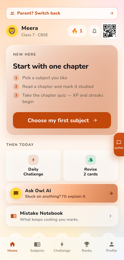 StreakOwl home and daily streak